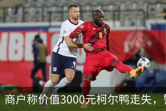 商户称价值3000元柯尔鸭走失，警方看1小时监控找回：外地游客误以为是被遗弃的宠物，顺手将其抱走